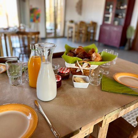 Grândola Alpaca Farm And B&B - Mama Adama מראה חיצוני תמונה