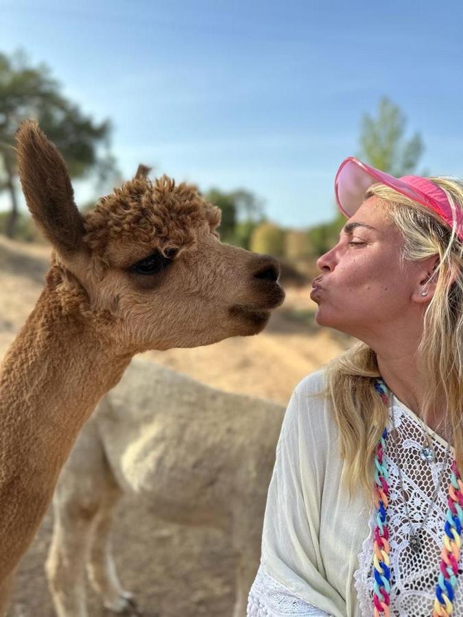 Grândola Alpaca Farm And B&B - Mama Adama מראה חיצוני תמונה
