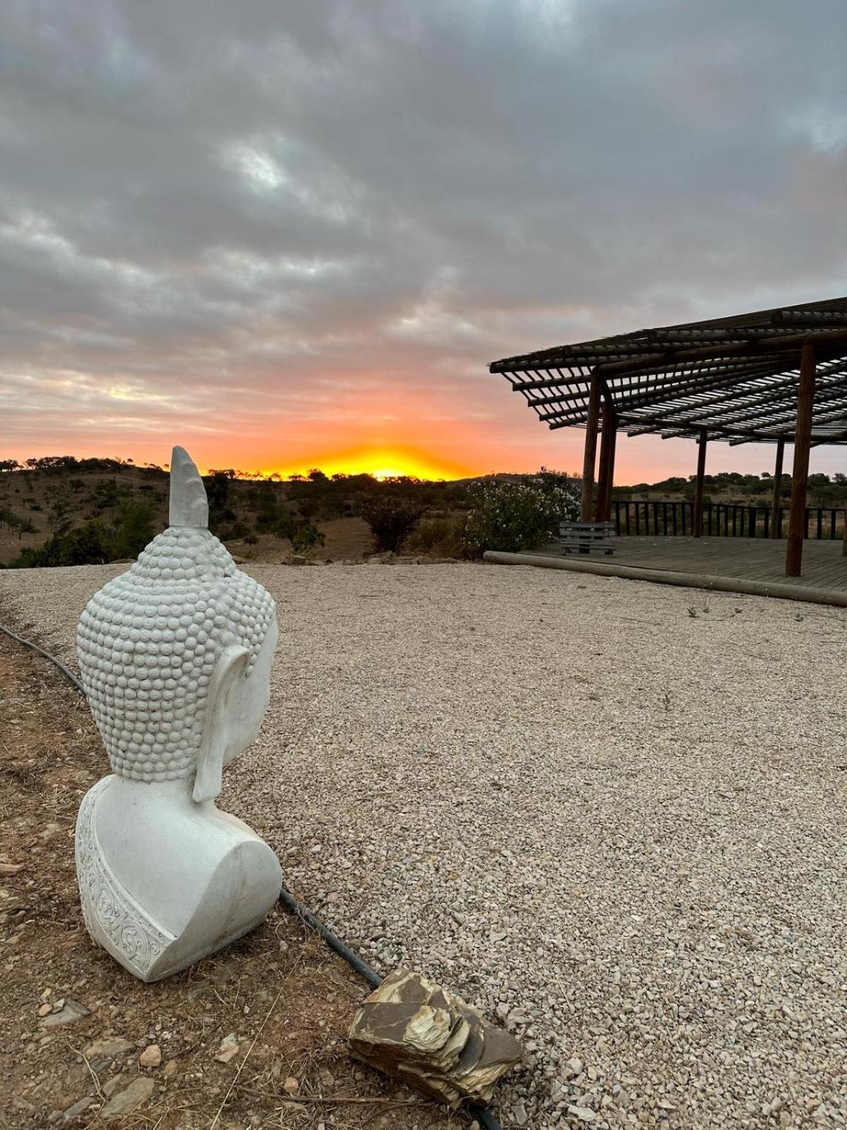 Grândola Alpaca Farm And B&B - Mama Adama מראה חיצוני תמונה